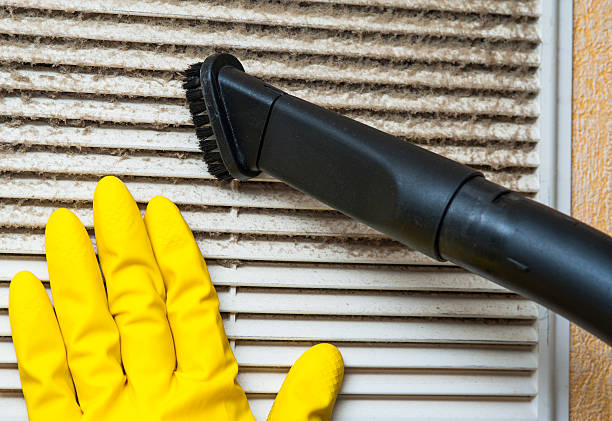 Best Best Air Duct Cleaning Company  in Pecan Grove, TX